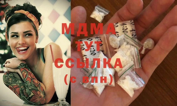 гашик Алексин