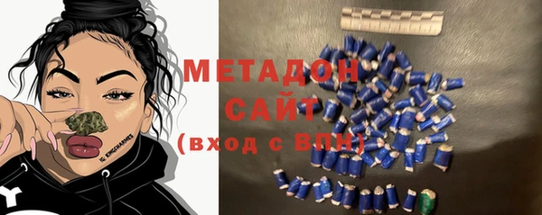гашик Алексин