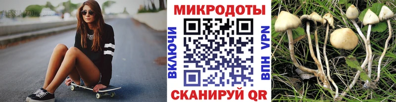 blacksprut зеркало  как найти   Каневская  Галлюциногенные грибы мухоморы 